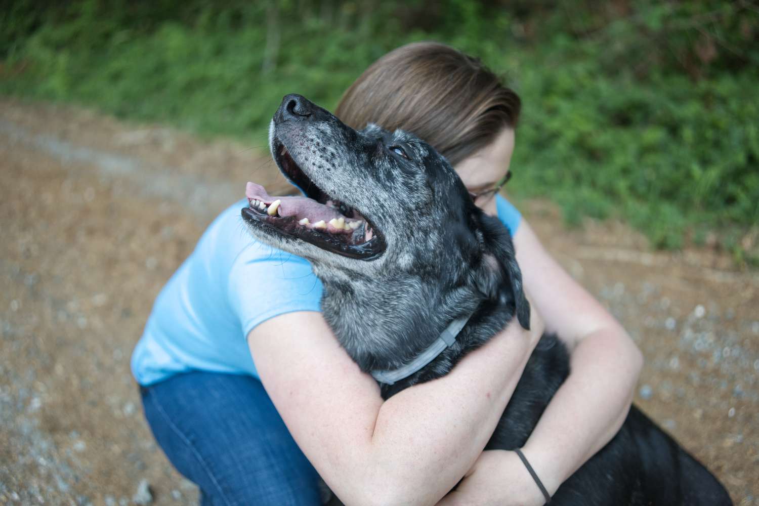 Do Dogs Get Anxiety When You Hug Them?