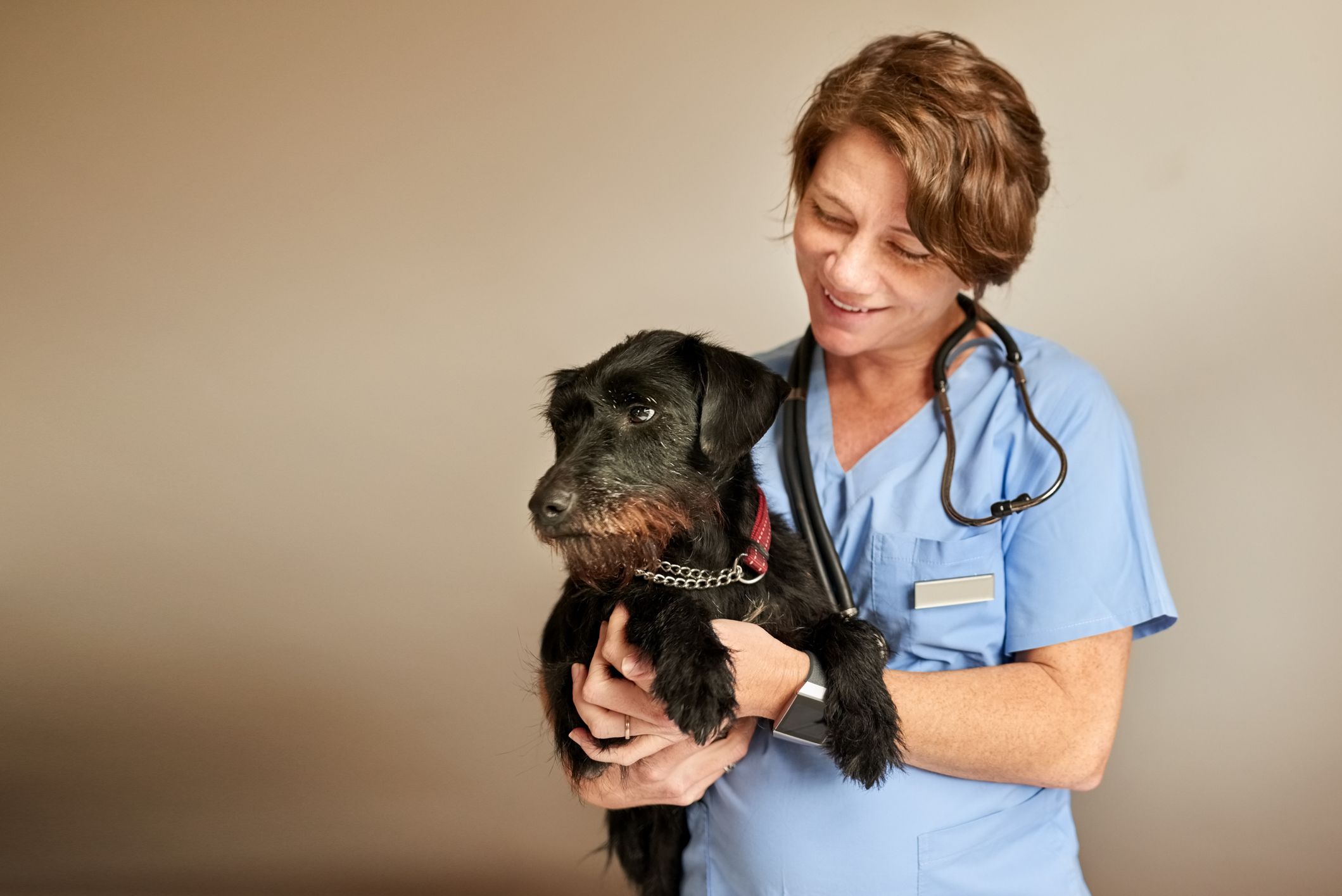 How Long Can A Dog Live With Untreated Diabetes?