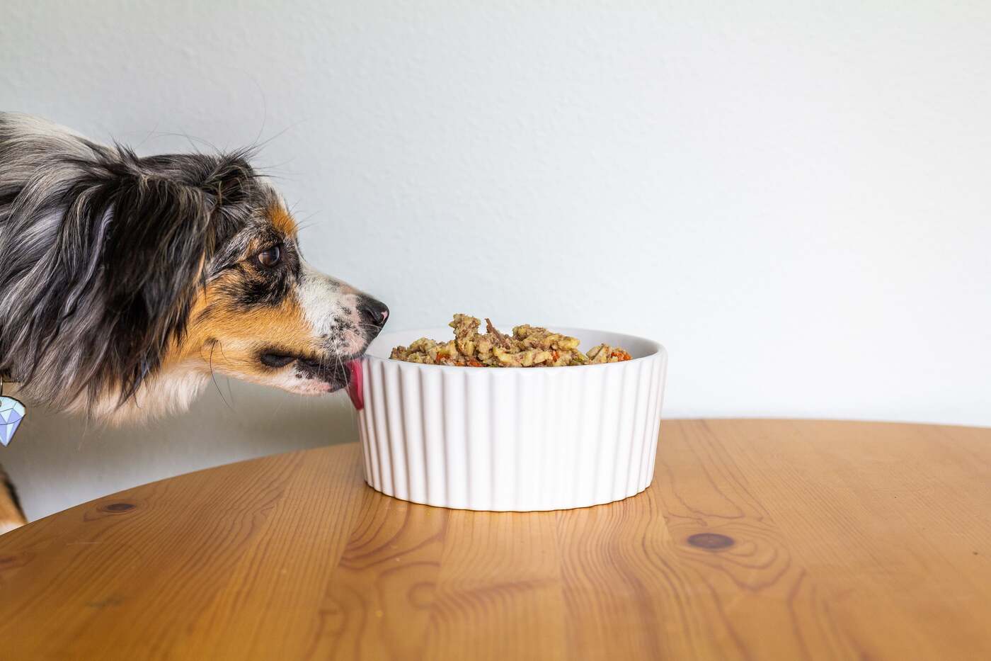 How To Feed Your Dog A Homemade Diet