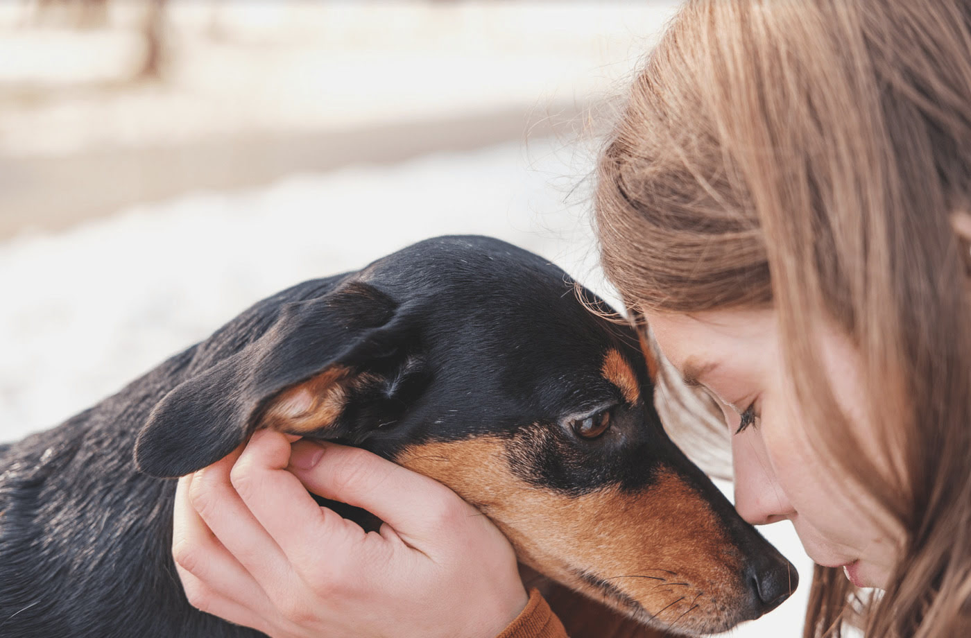 How To Find An Emotional Support Dog For Anxiety