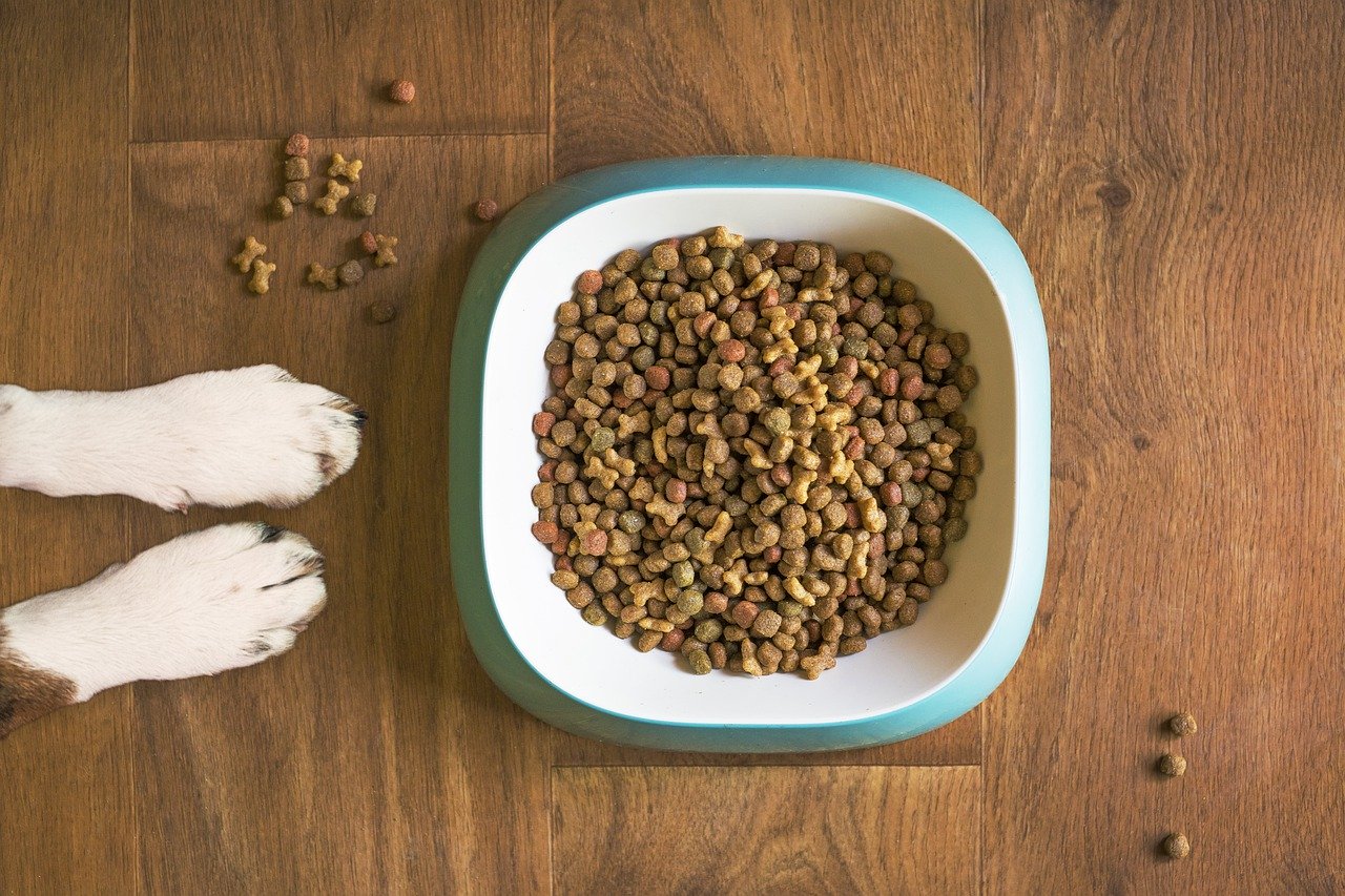 How To Get Zinc For Dogs' Diet