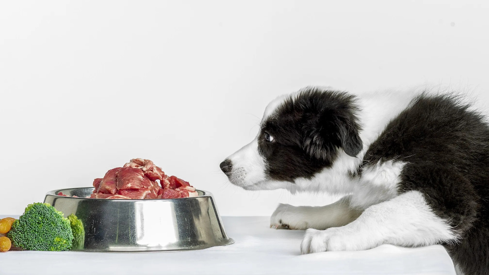 How To Help My Dog Gain Weight On A Raw Food Diet