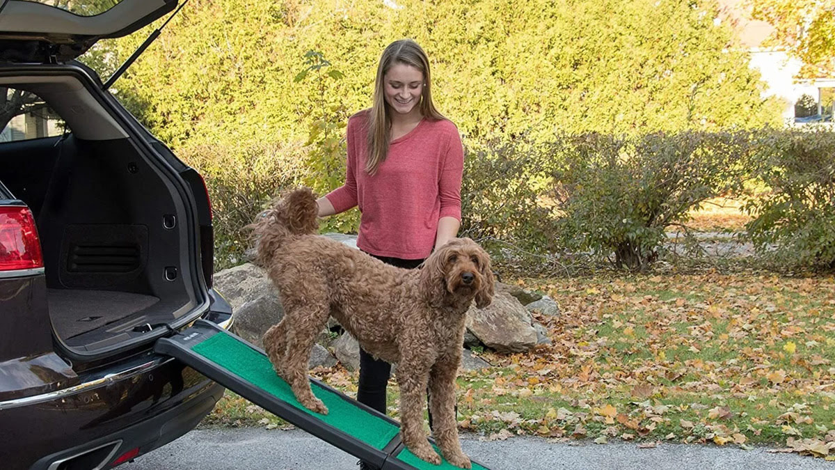 How To Load My Senior Dog Into The Back Of An SUV