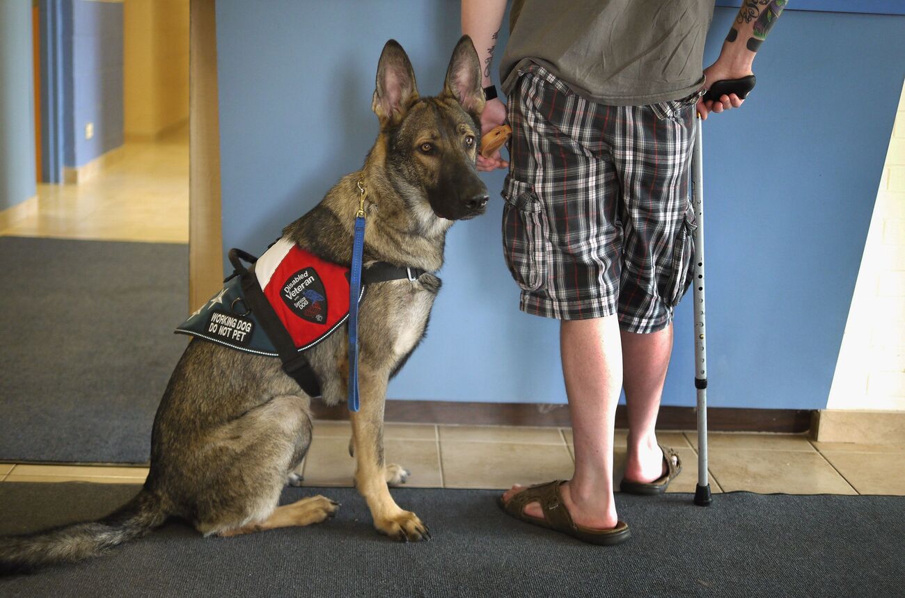 How To Train My Dog To Be A Service Dog For Anxiety