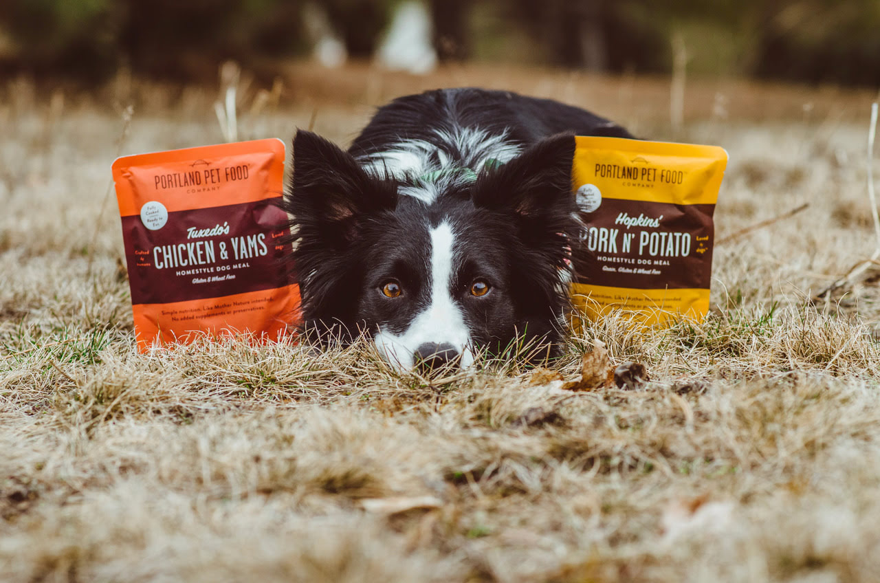 What Is The Best Nutrition For Dogs
