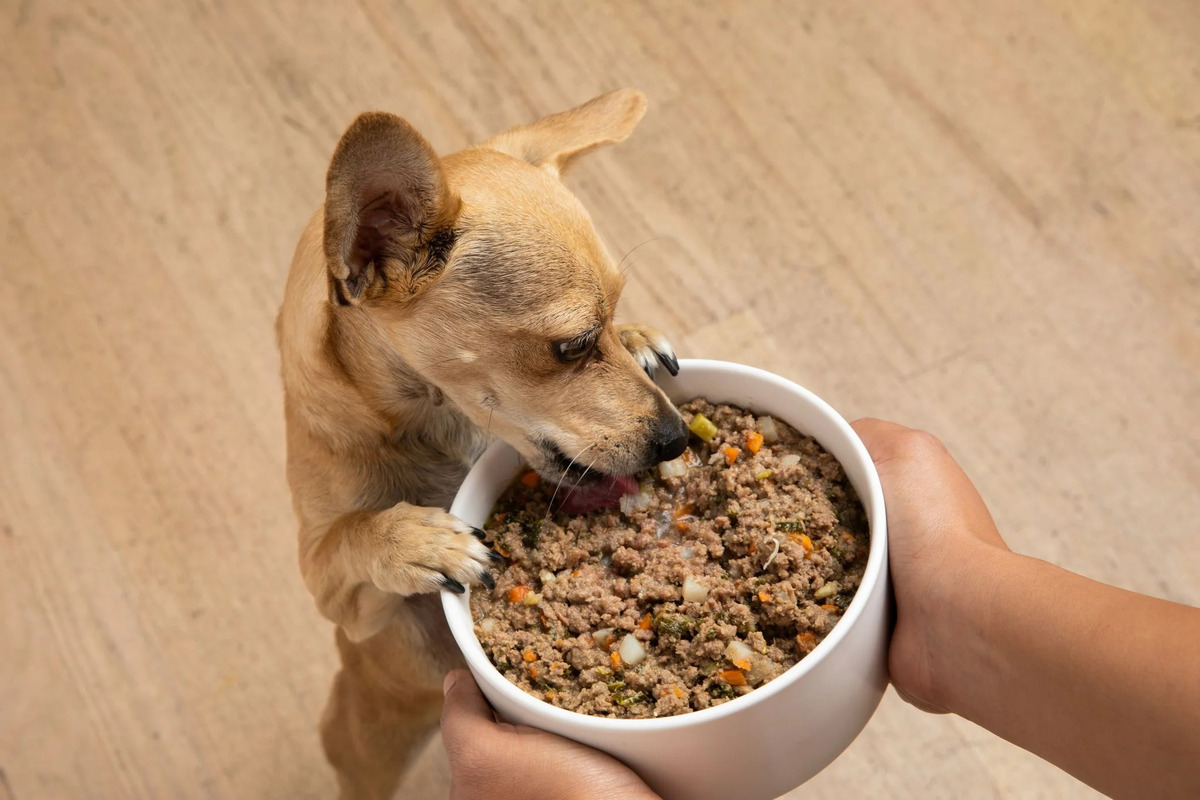 What To Feed Dogs With IBD For Fiber In Their Diet