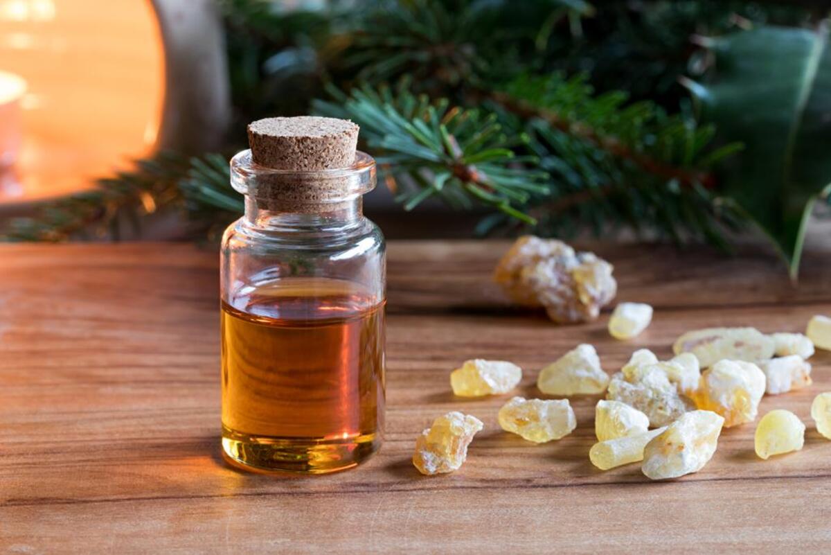 How To Use Frankincense Oil For Cancer In Dogs