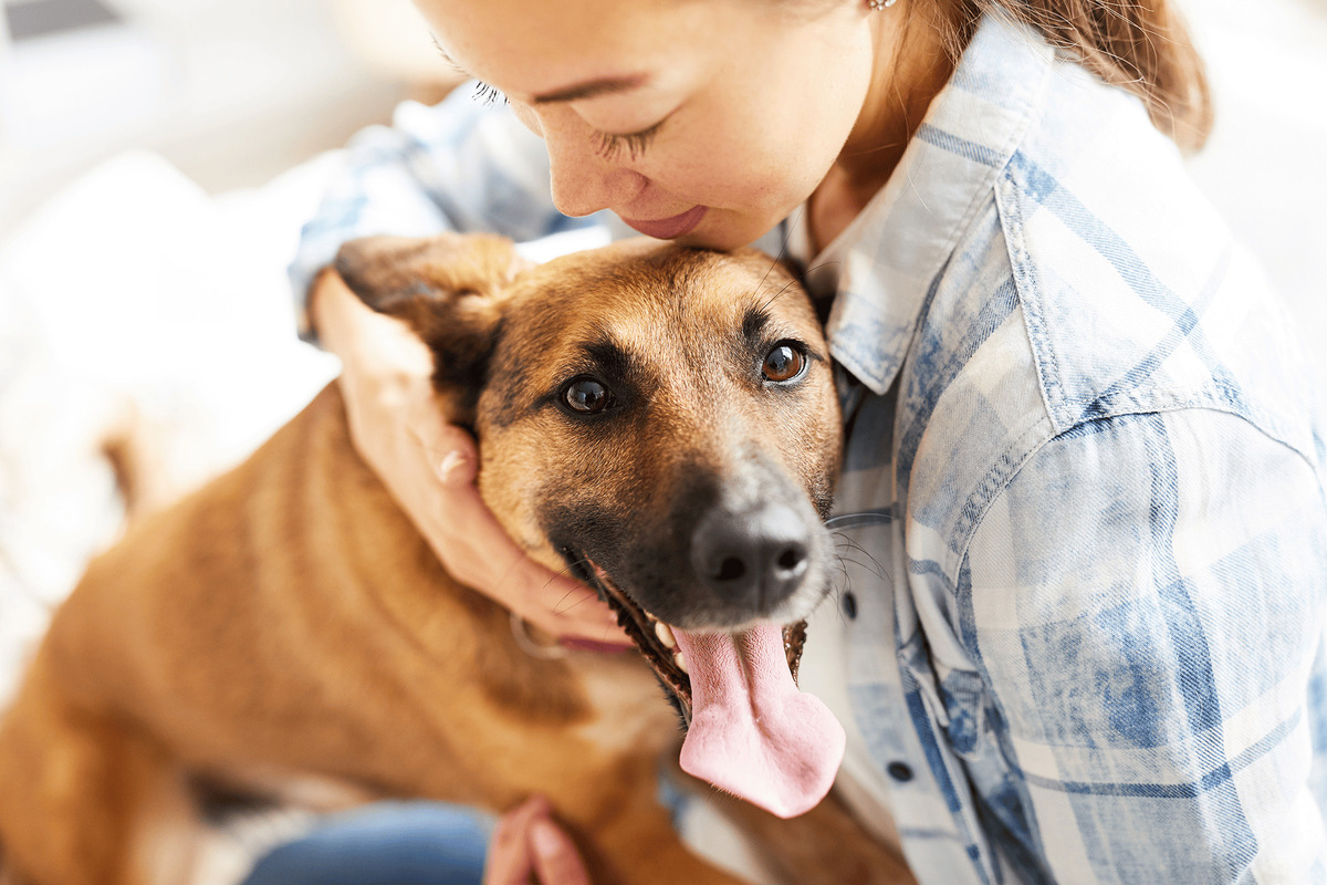If Your House Is Infested With Fleas On Two Dogs, How Long Does It Take For Capstar To Work?
