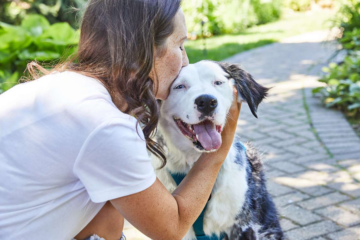 What To Do For A Dog That Has Cancer
