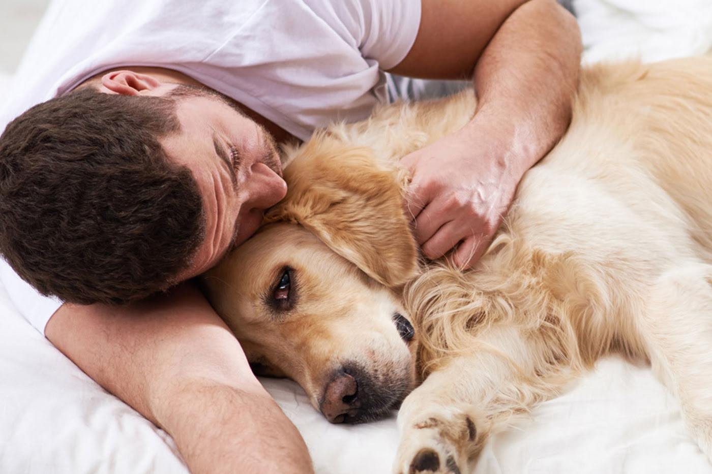 What To Expect When Your Dog Is Dying Of Cancer