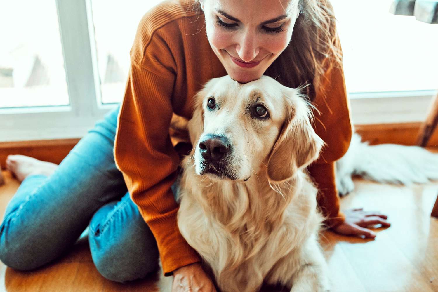 What To Give A 50 Lb Dog For Arthritis Pain