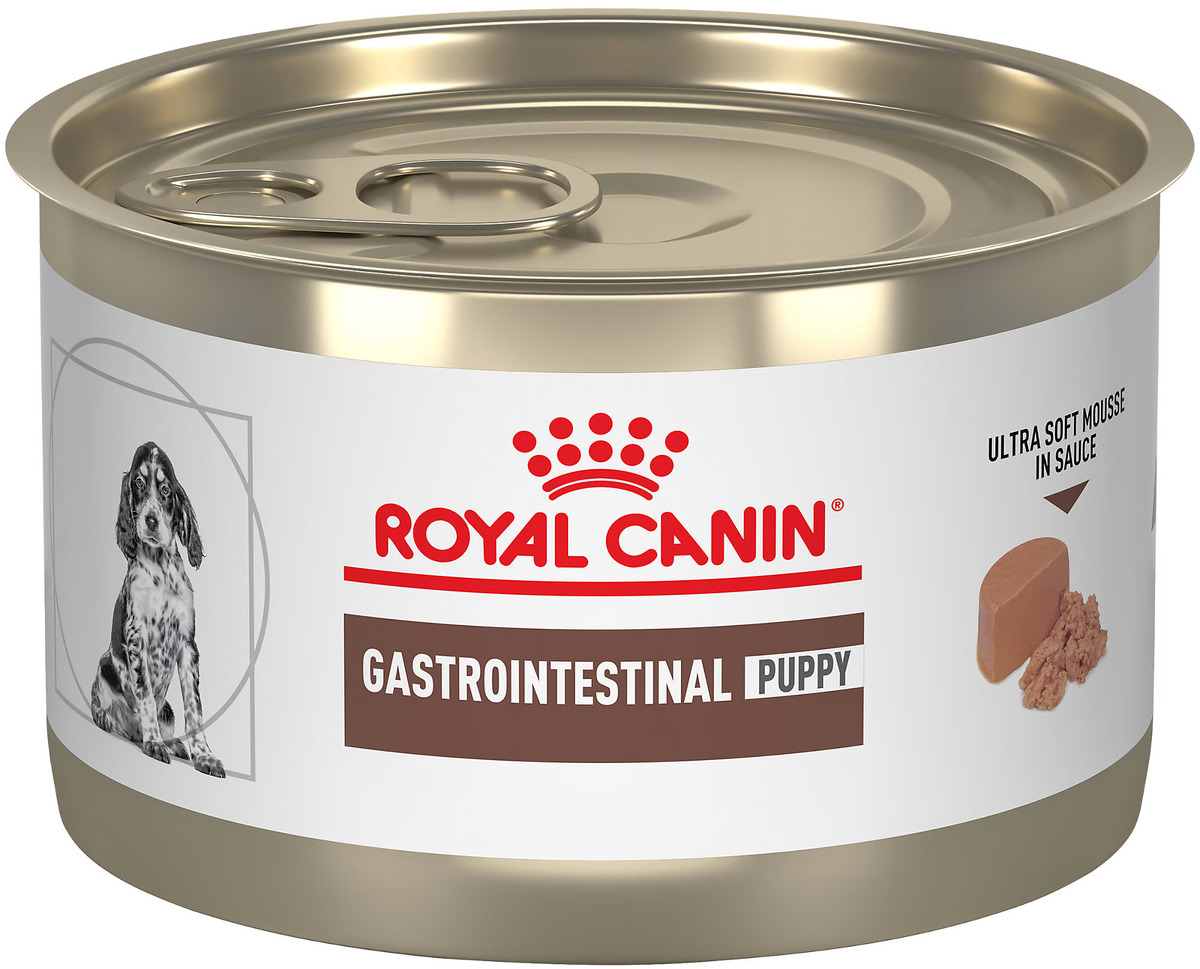 Who Sells Royal Canin Gastrointestinal Dog Food